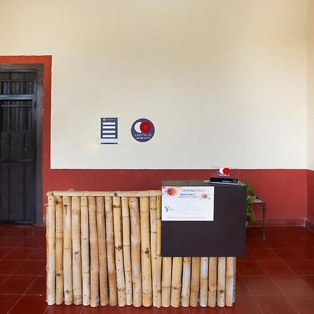 Capital O Hacienda Yunku Hotel, Yucatan Mérida Eksteriør bilde